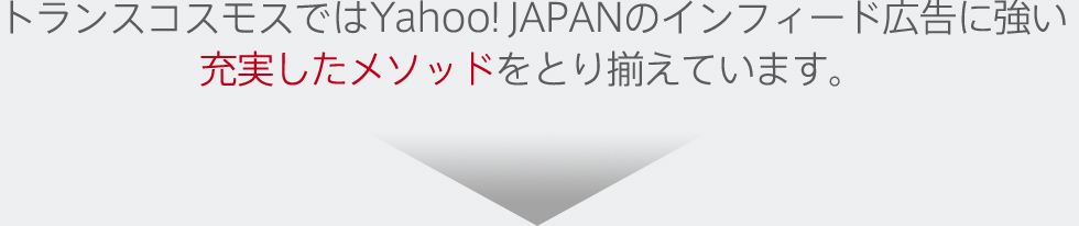 トランスコスモスではYahoo！ JAPANのインフィード広告に強い充実したメソッドをとり揃えています。