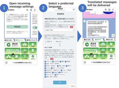 Automatic translation function settings for delivered messages
