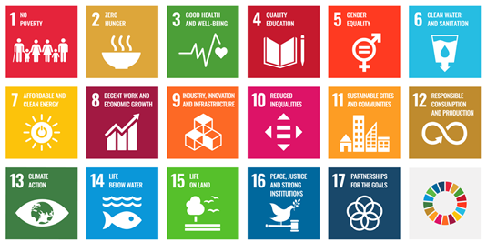 SDGs 17 Goal