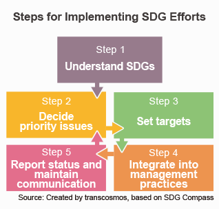 Steps fot Implementing SDG Efforts