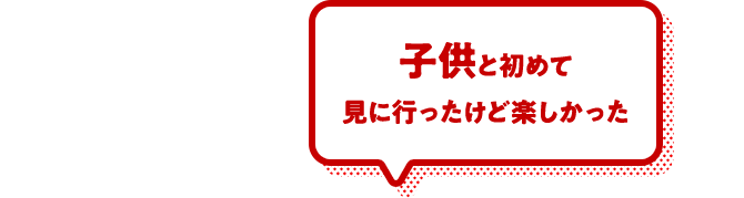 子供と初めて見に行ったけど楽しかった