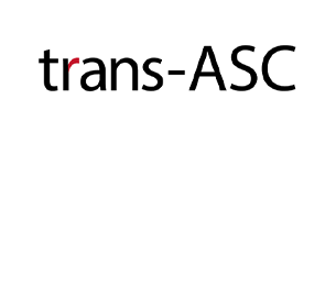 Meta広告の広告効果を最大化するソリューションtrans-ASCを提供