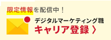 デジタルマーケティング職 キャリア登録