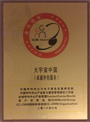 「金耳唛杯 中国ベストカスタマーセンター 卓越アウトソーシングサービス賞」を受賞