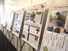 Support for Conservation Activity of Okinawa Rail 02