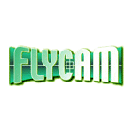 FLYCAM�ˤĤ���