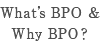 What’s BPO & Why BPO?
