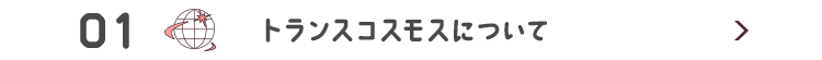 トランスコスモスについて