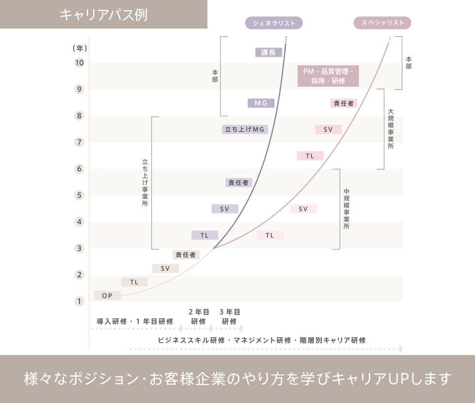 キャリアパス例