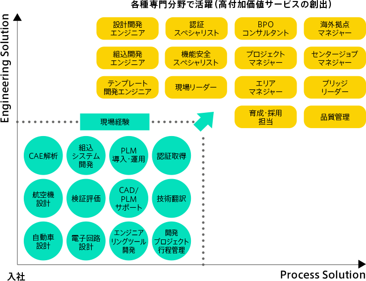 各種専門分野で活躍（高付加価値サービスの創出）