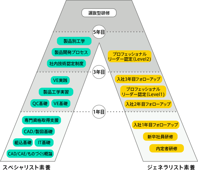 選抜型研修