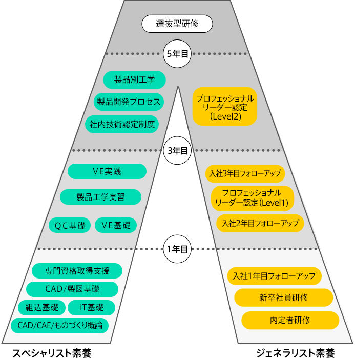 選抜型研修