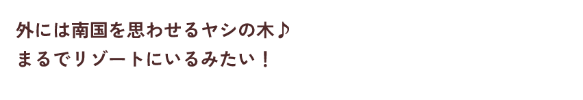 外には南国を思わせるヤシの木♪まるでリゾートにいるみたい！