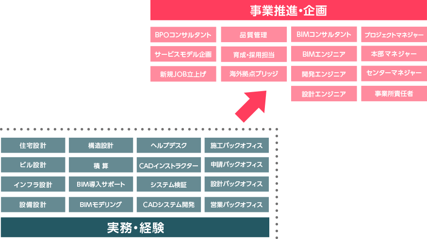 キャリアパス