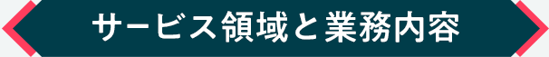 サービス領域と業務内容