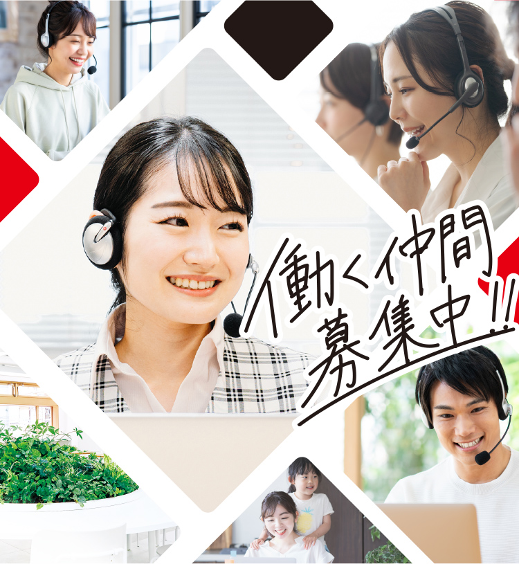 トランスコスモス仙台