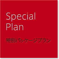 Special Plan